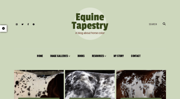 equinetapestry.blog