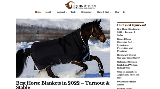 equiniction.com