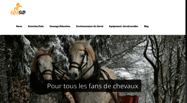 equisup.fr