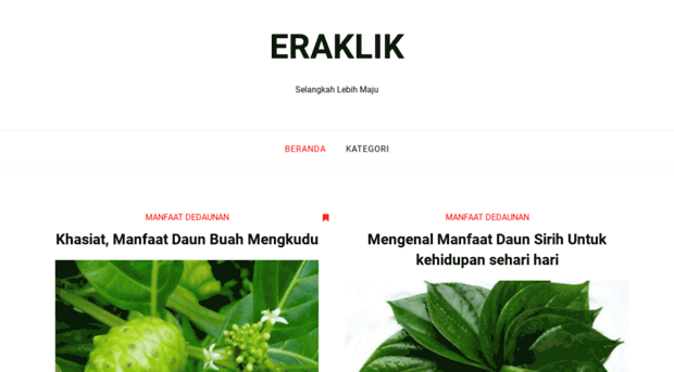 eraklik.com