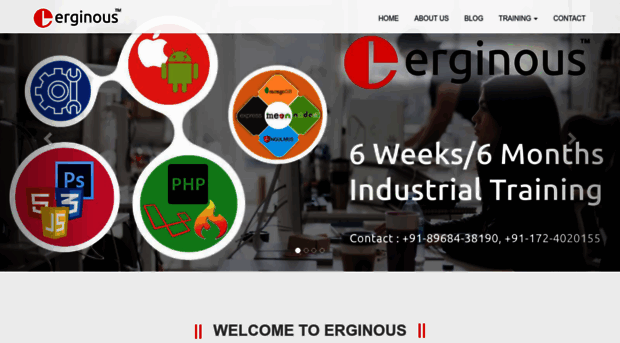 erginous.co.in