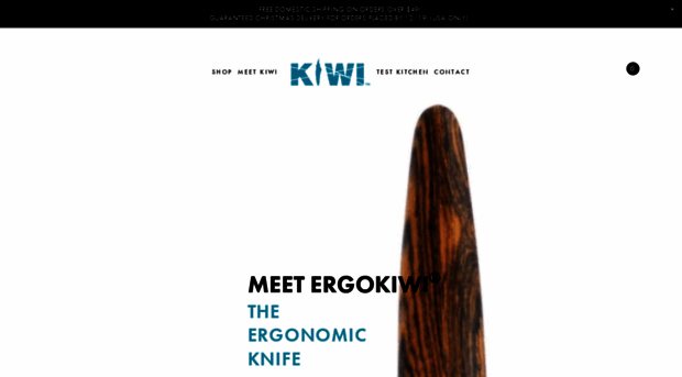 ergokiwi.com