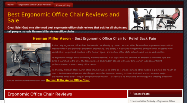 ergonomic-officechair.net