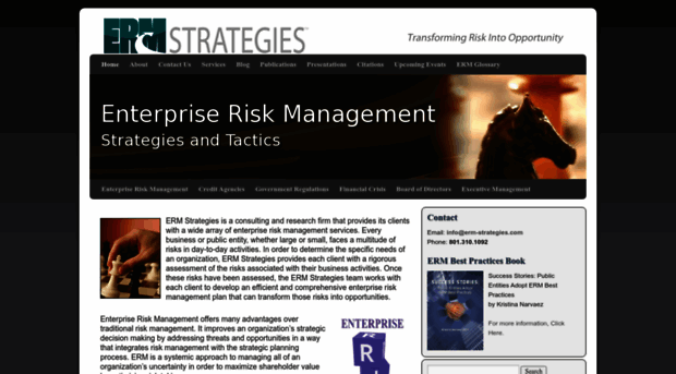 erm-strategies.com