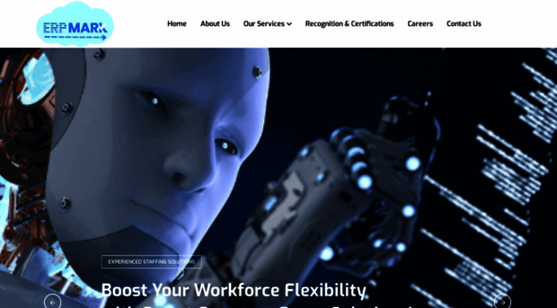 erpmark.com
