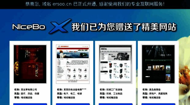 ersoo.cn