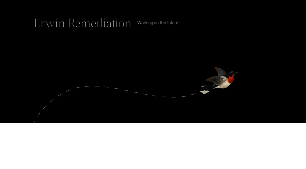 erwinremediation.com