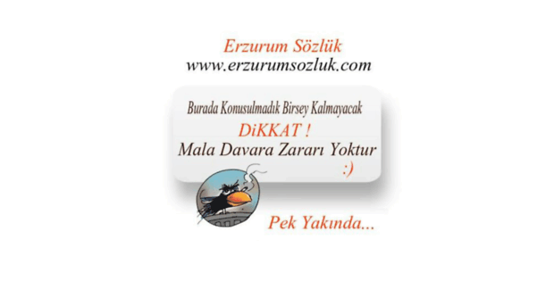 erzurumsozluk.com