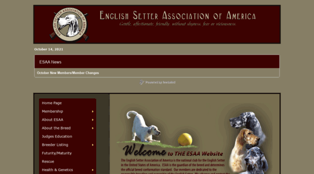 esaa.com