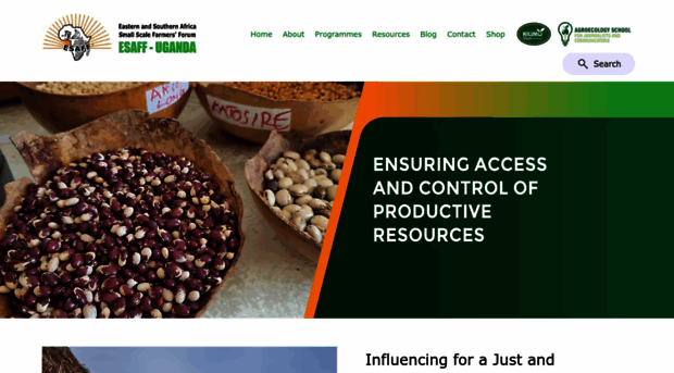 esaffuganda.org