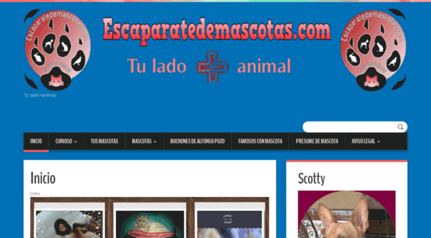 escaparatedemascotas.com