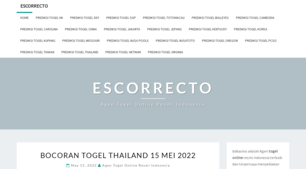 escorrecto.org