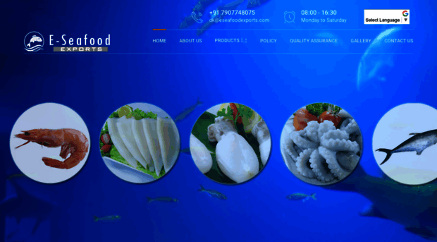 eseafoodexports.com