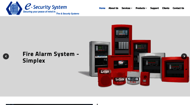 esecuritysystem.in