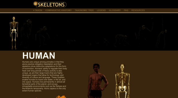 eskeletons.org