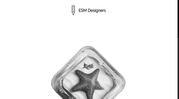 esmdesigners.com