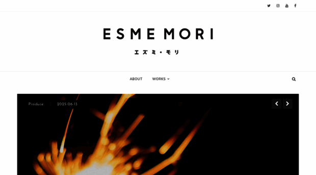 esmemori.com