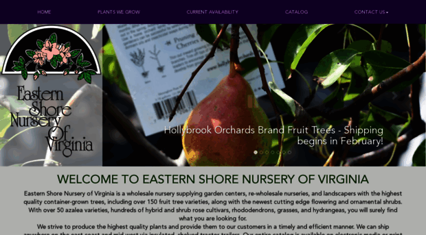 esnursery.com