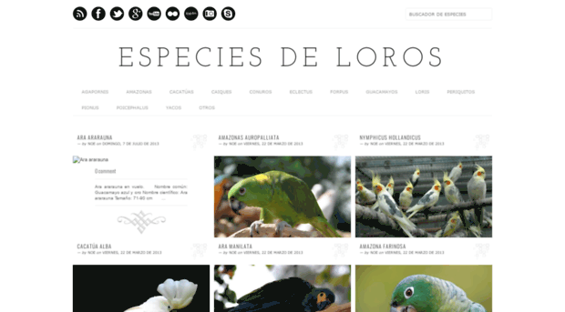 especiesdeloros.blogspot.com.ar