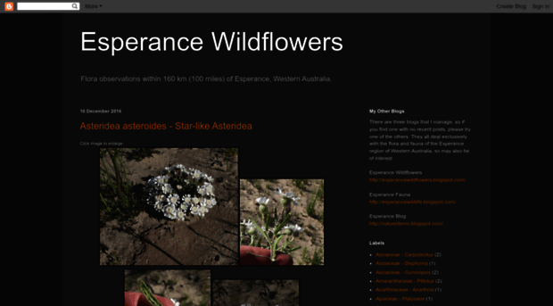 esperancewildflowers.blogspot.com