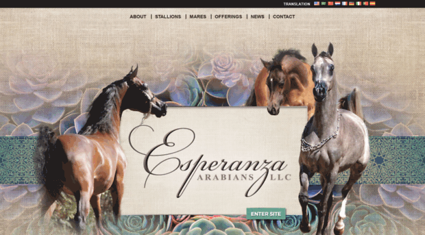 esperanzaarabians.com