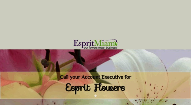 espritmiami.com