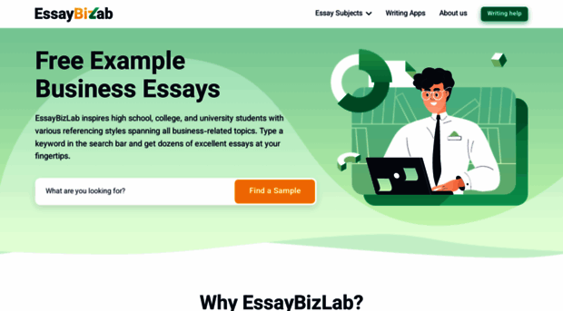 essaybizlab.com