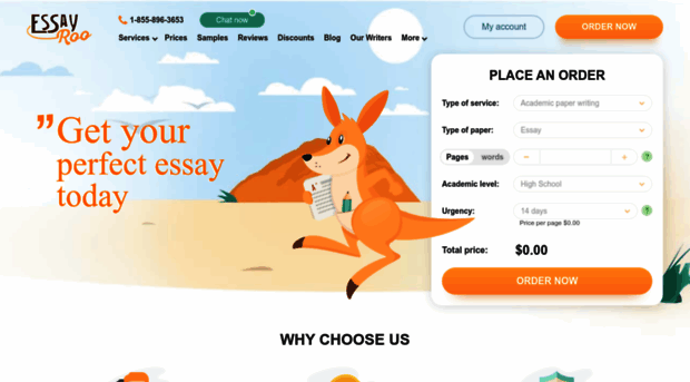 essayroo.net