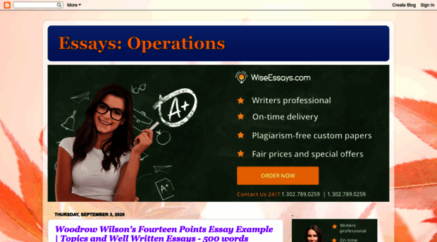 essaysoperations.blogspot.com