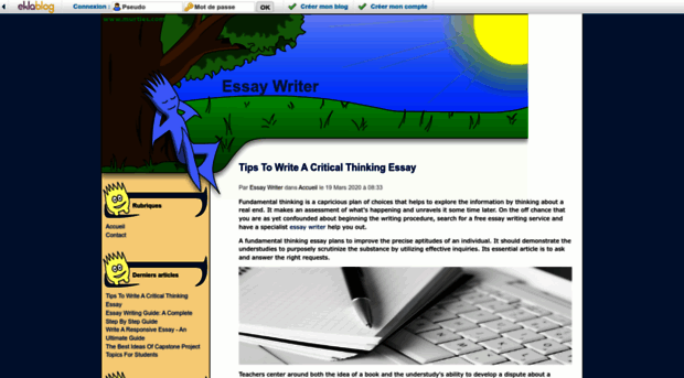 essaywriter.cd.st