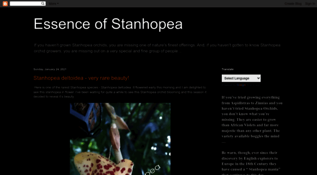 essenceofstanhopea.blogspot.com.au