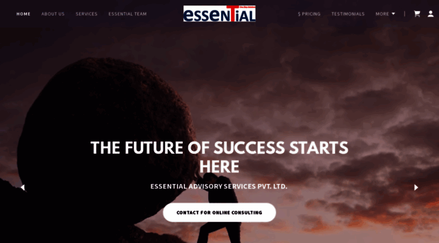 essentialadvisory.in