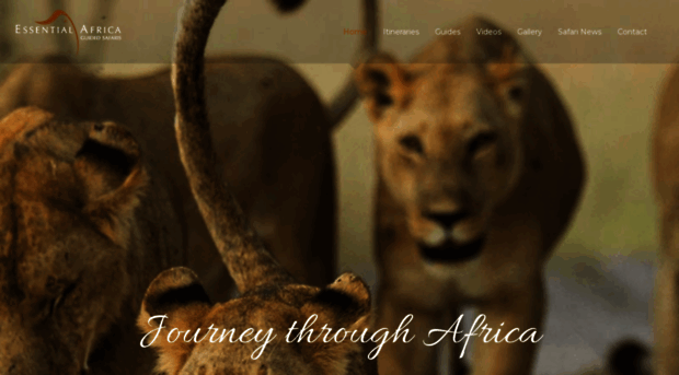 essentialafrica.co.za