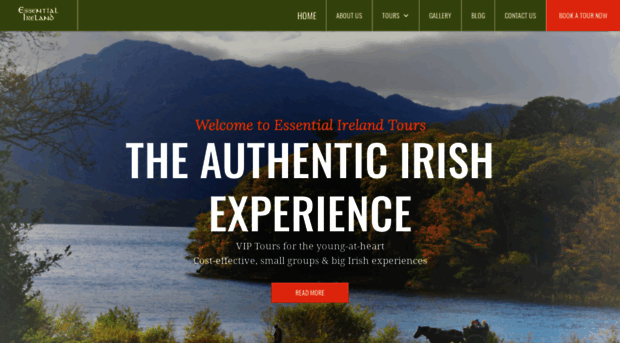 essentialirelandtours.com