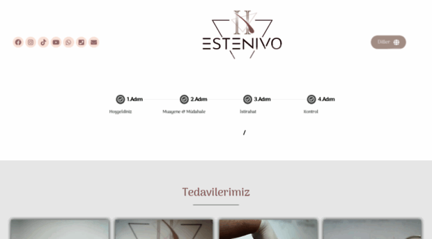 estenivo.com