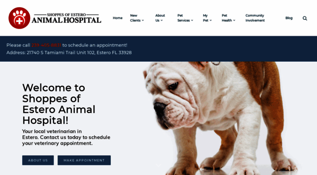 esteroanimalvet.com