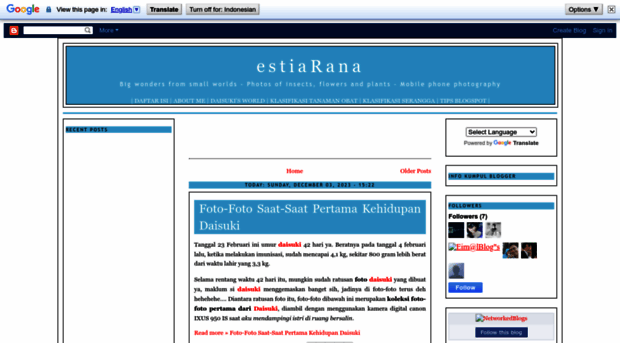 estiarana.blogspot.com