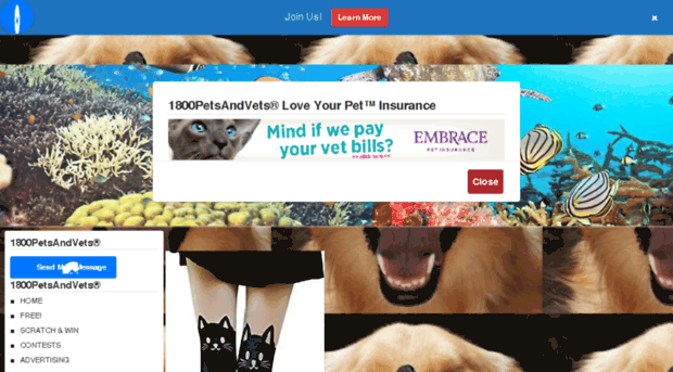 estore.1800petsandvets.com