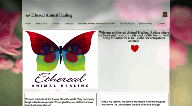etherealanimalhealing.com