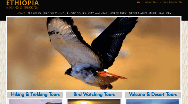 ethiopiabirdingandtrekking.com
