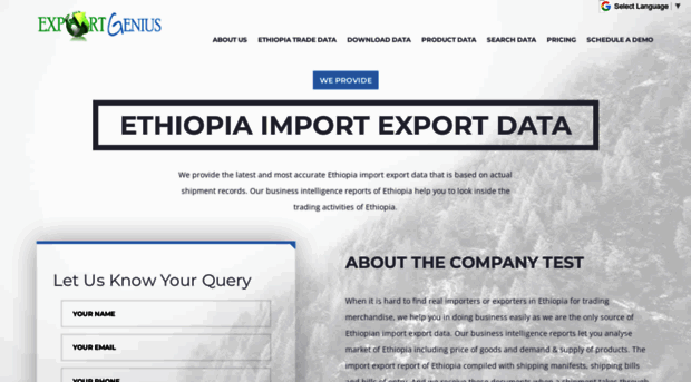 ethiopianimporter.com