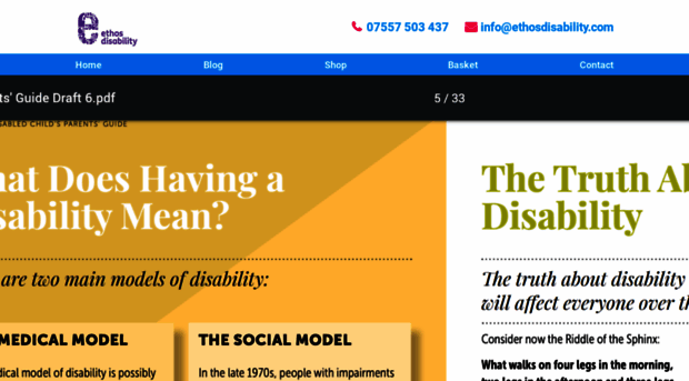 ethosdisability.com