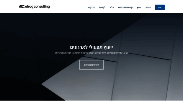 etrog-consulting.com