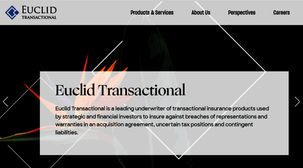 euclidtransactional.com