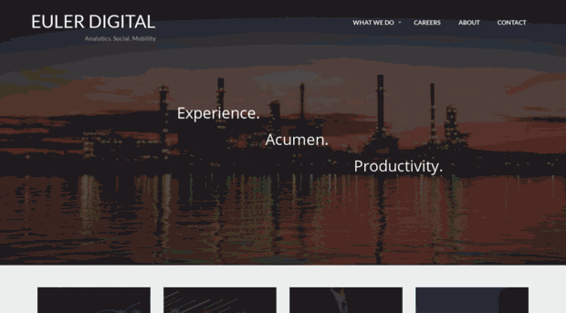 eulerdigital.com