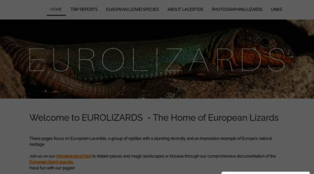 eurolizards.com