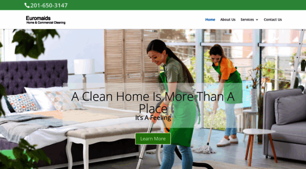 euromaidhomecleaning.com