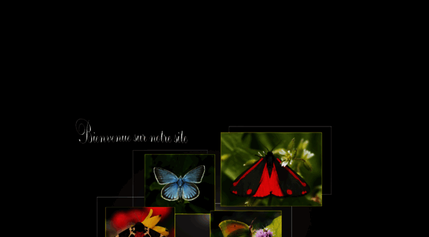 european-lepidopteres.fr