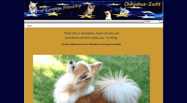 europeanfriendship.de