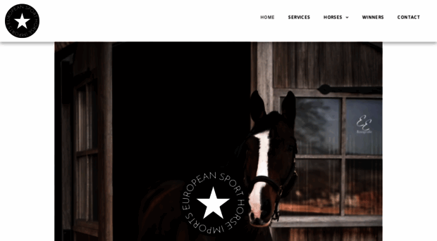 europeansporthorseimports.com